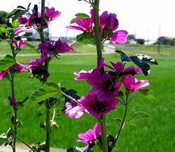 �X�������̏ꏊ�Ō��t������